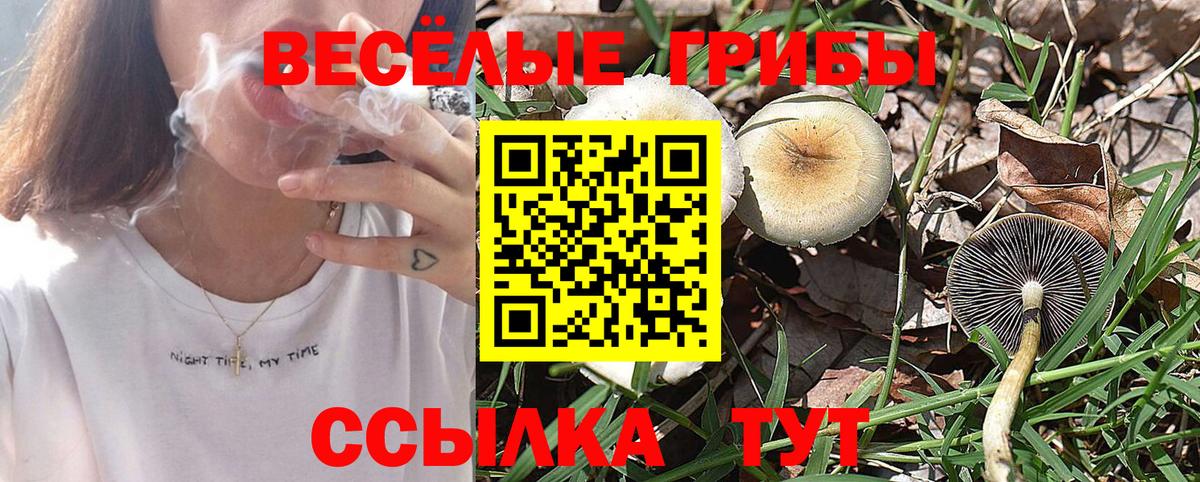 Галлюциногенные грибы прущие грибы  Вход с VPN  Донецк 