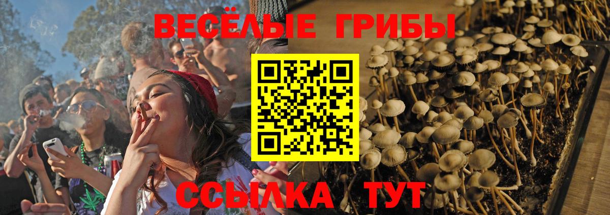 Галлюциногенные грибы мухоморы Донецк